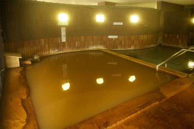 新安比温泉 静流閣