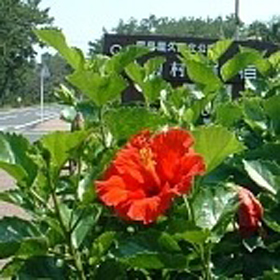 指宿温泉 休暇村 指宿