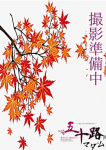 木崎結真