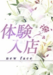柊木(ひいらぎ)