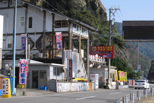 えちぜん丸太屋