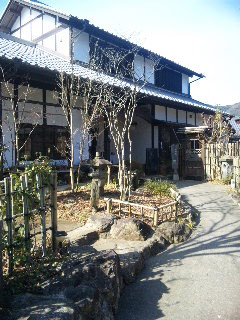 茶旅庵 蓮