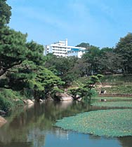 道後温泉 つかさビューホテル