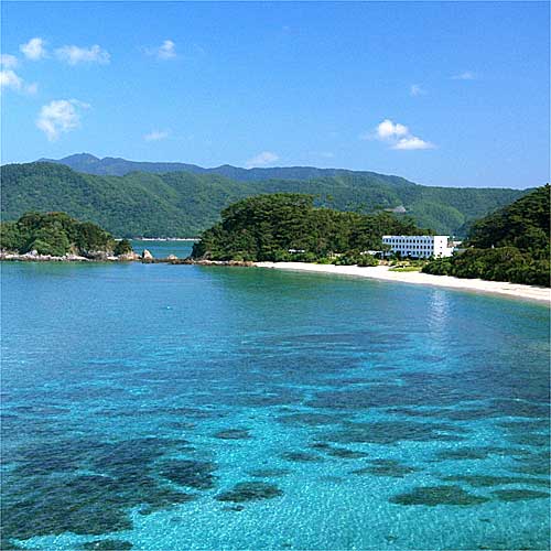 マリンステイション奄美 奄美大島