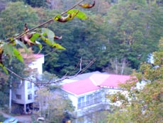 二岐温泉 大和館