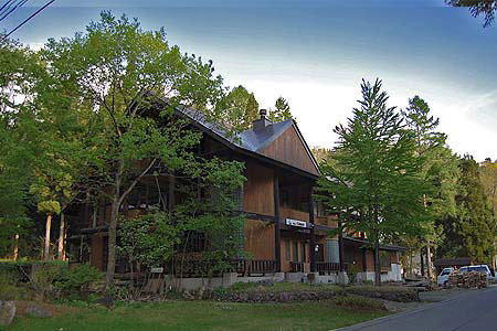 IL BOSCO
